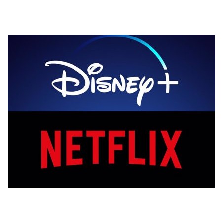 PAQUETE DE PROMOCIÓN NETFLIX+ DISNEY+